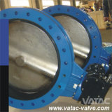 Cast Iron/Ductile Iron Flanged Butterfly Valve (D41)