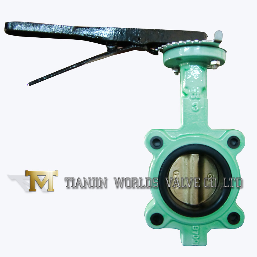 Ductile Iron Lug Butterfly Valve with Bronze Disc