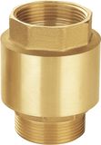 Brass Spring Strainer Drain Check Valve 1/2 